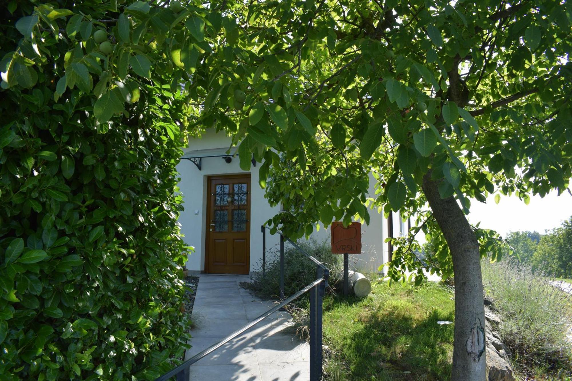 Domacija Vrski Slovenska Bistrica Exterior photo